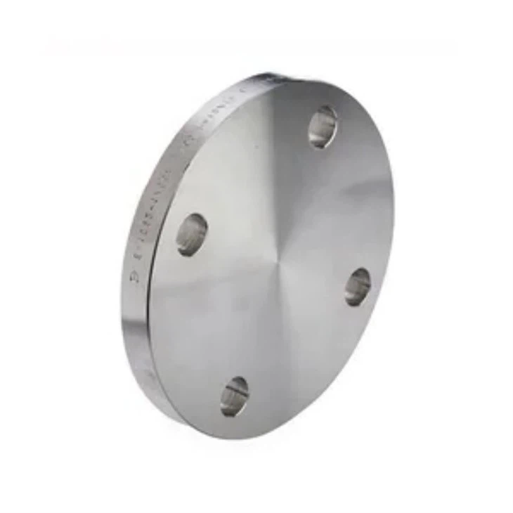316L BLRF FLANGE22